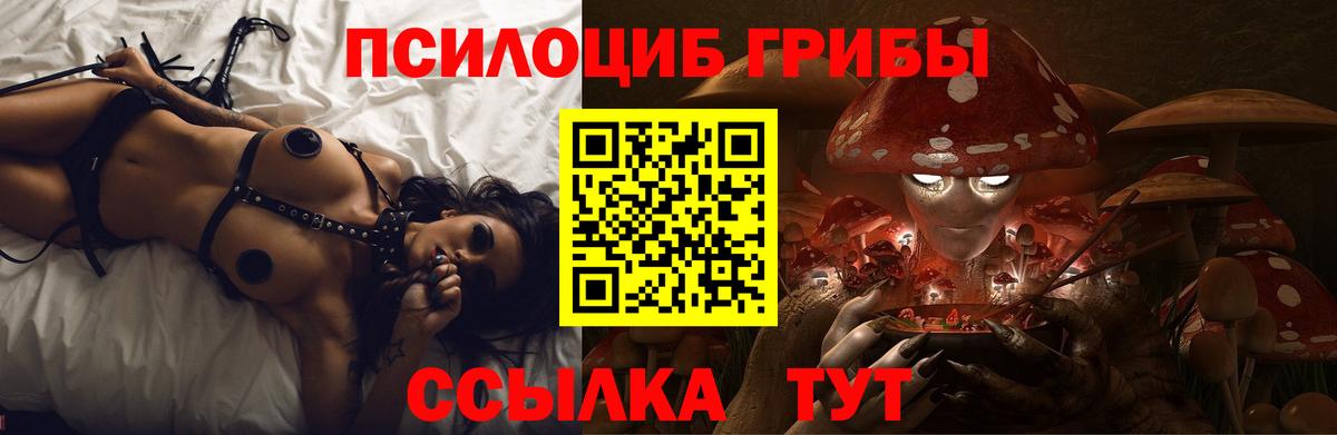 Алушта  Псилоцибиновые грибы GOLDEN TEACHER  Галлюциногенные грибы Psilocybe  Вход с VPN 